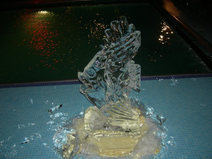 Da un pezzo di ghiaccio,una scultura di danriz