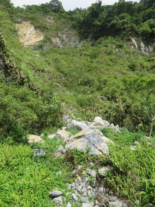 2018_花蓮～佐倉步道 走 沙婆噹山*