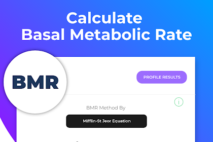 Bmi Calculator Neck And Waist