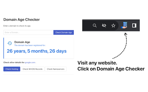 Domain Age Checker - Site Age Checker, Check Age of Website Online