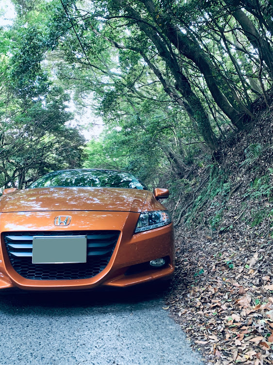 CR-Zのドライブ・ノーマル・やまのぼり・オレンジCR-Zに関するカスタム事例の投稿画像1枚目