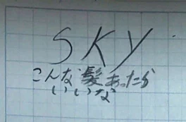 skyの絵描いたぁ！