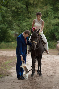 結婚式の写真家Aleksey Meshkov (alekseymeshkov)。2015 11月8日の写真