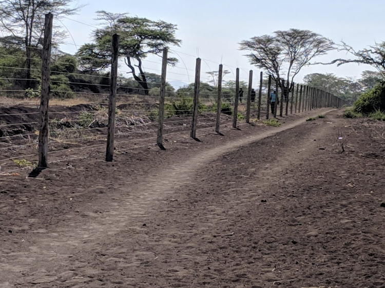 Part of the fence arpound the Gicheha Farm in Njukini area of Taita Taveta county.