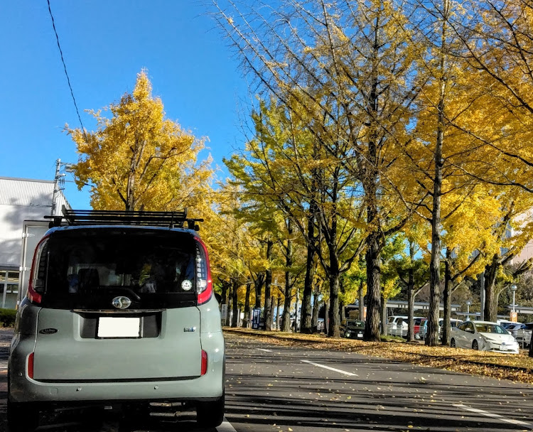 シエンタの銀杏並木に関するカスタム事例の投稿画像3枚目