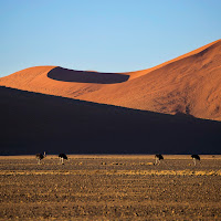 Namib di 