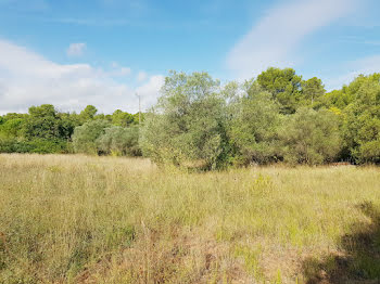 terrain à Gignac (34)