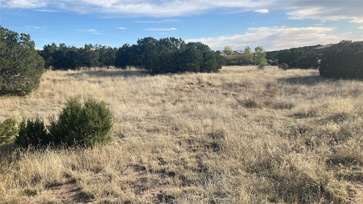 Land purchase in Santa Fe (United States)