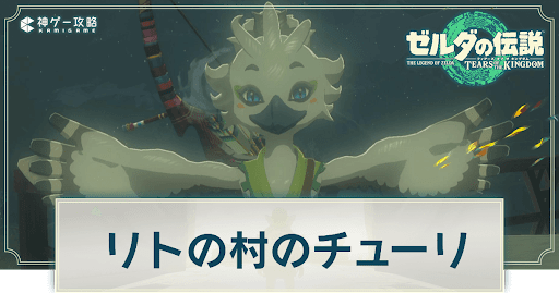 ゼルダの伝説ティアーズオブザキングダム_リトの村のチューリ