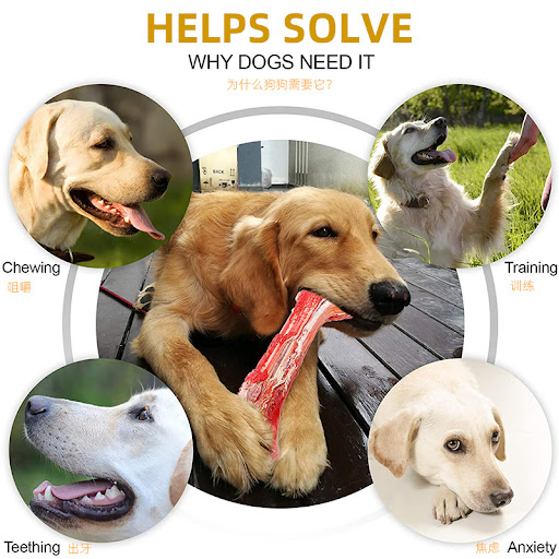 Title 5, Dog Chewing Resistant Molar Stick Simulation Bo...