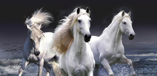 Magic Wave Racing Horses Com Water Drop Racing Horse Lwp 1 4 Application Apkspc