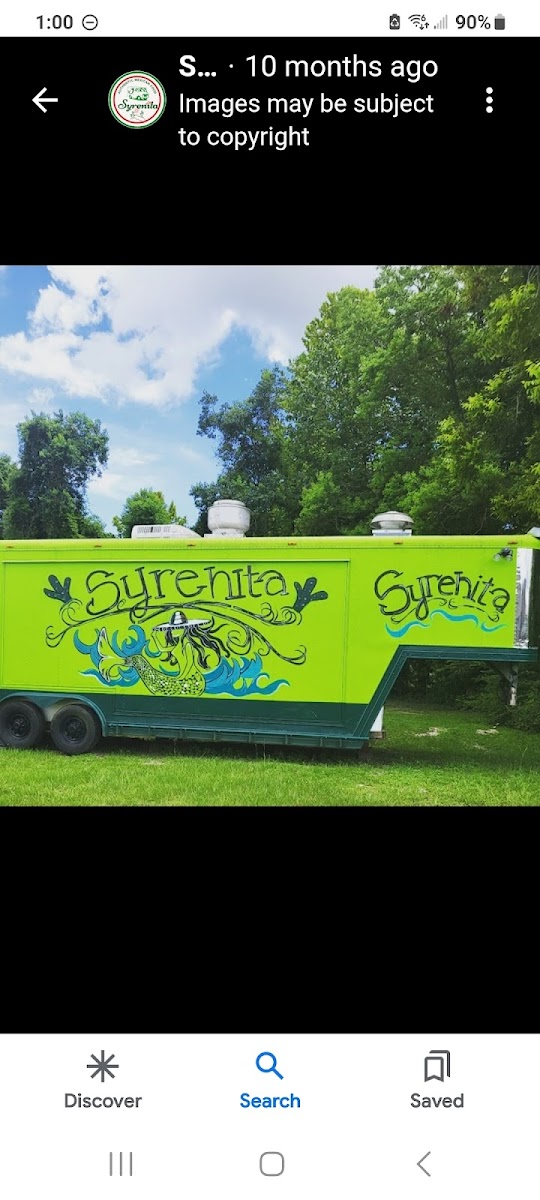 Picture of the Food Truck- can't miss the green!