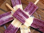 Blueberry Vanilla Yogurt Popsicles was pinched from <a href="https://www.facebook.com/photo.php?fbid=10152687345865391" target="_blank">www.facebook.com.</a>