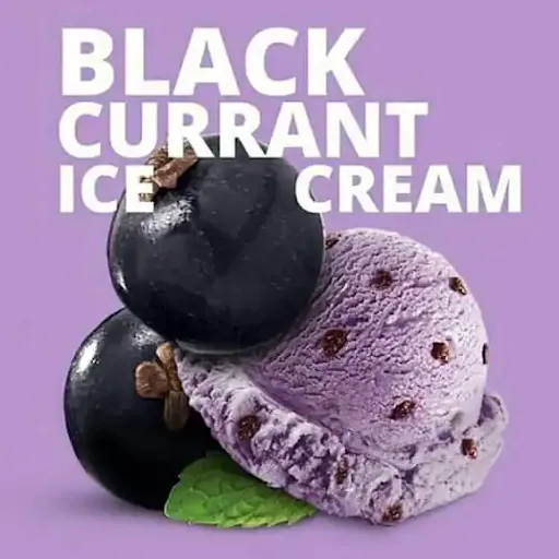 Black Currant Ice Cream [1 Scoop]