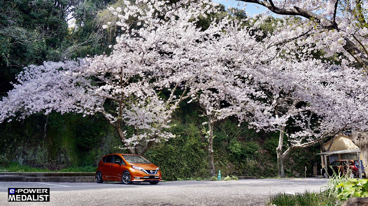 ノートの#愛車と桜・桜と愛車に関するカスタム事例の投稿画像3枚目