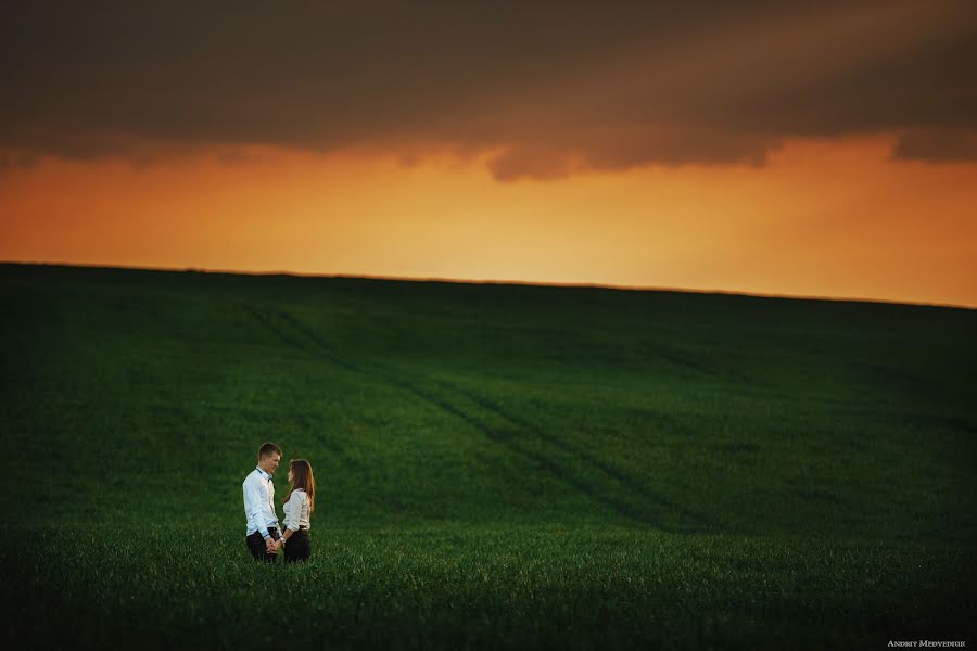 Wedding photographer Andrey Medvedyuk (medvediuk). Photo of 29 May 2014