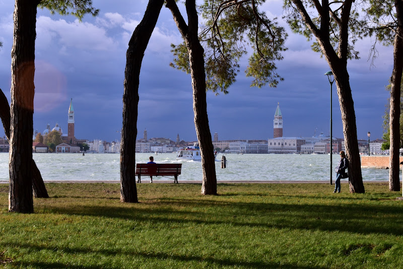 Giardini Sant'Elena Venezia di renzo brazzolotto