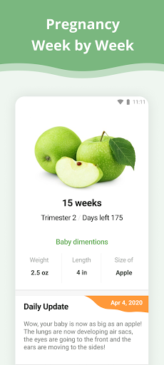 Screenshot Pregnancy App