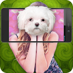 What dog am I simulator Apk