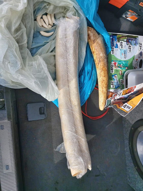 The Hawks arrested a suspect for possession of ivory in Table View, Cape Town, on Friday.