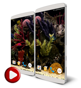 Aquarium Video Live Wallpaper(圖1)-速報App