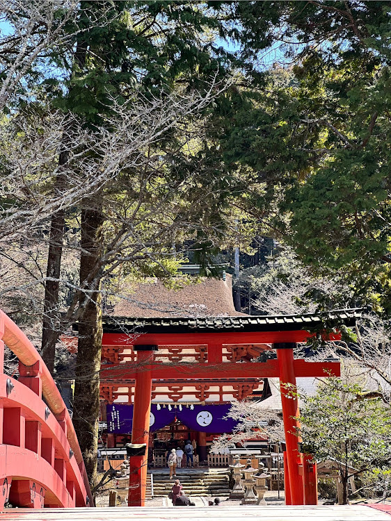ビートの和歌山・かつらぎ町・丹生都比売神社に関するカスタム事例の投稿画像2枚目