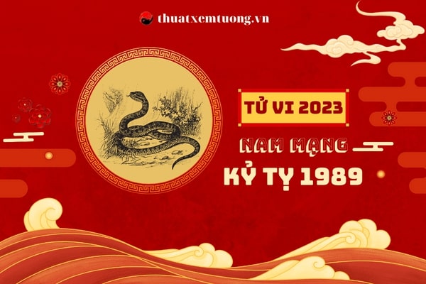 tu-vi-tuoi-ky-ty-nam-2023-nam-mang-1989