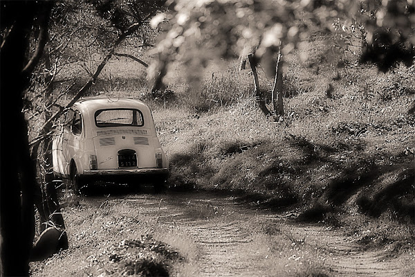 Mitica di utente cancellato