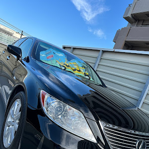 LS USF40