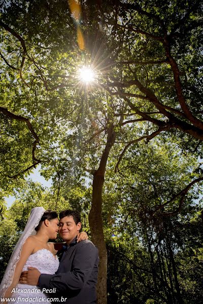 Wedding photographer Alexandre Peoli (findaclick). Photo of 26 January 2017