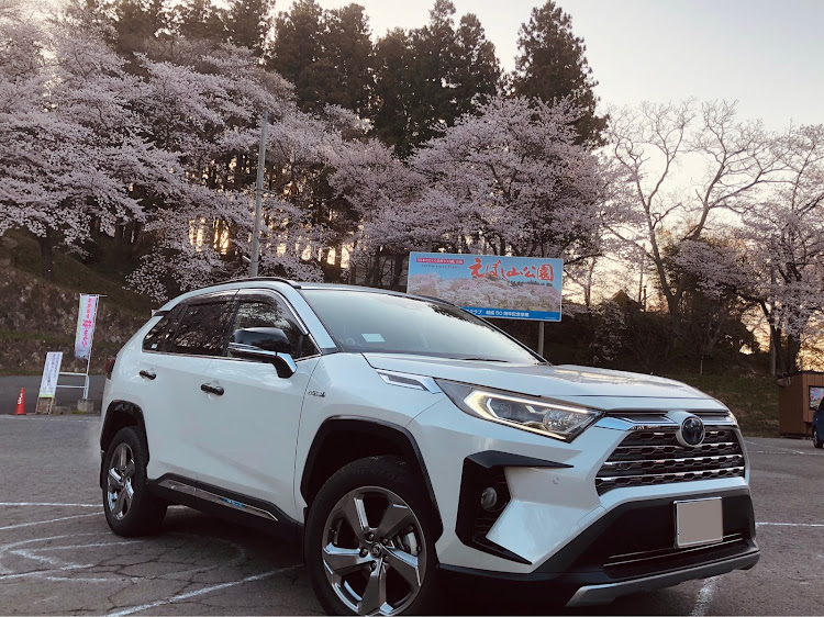 RAV4の桜とコラボに関するカスタム事例の投稿画像2枚目