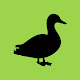 Progressive Duck Decoy Download on Windows