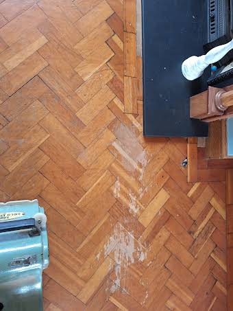 Colombian Pine Parquet Restoration  album cover