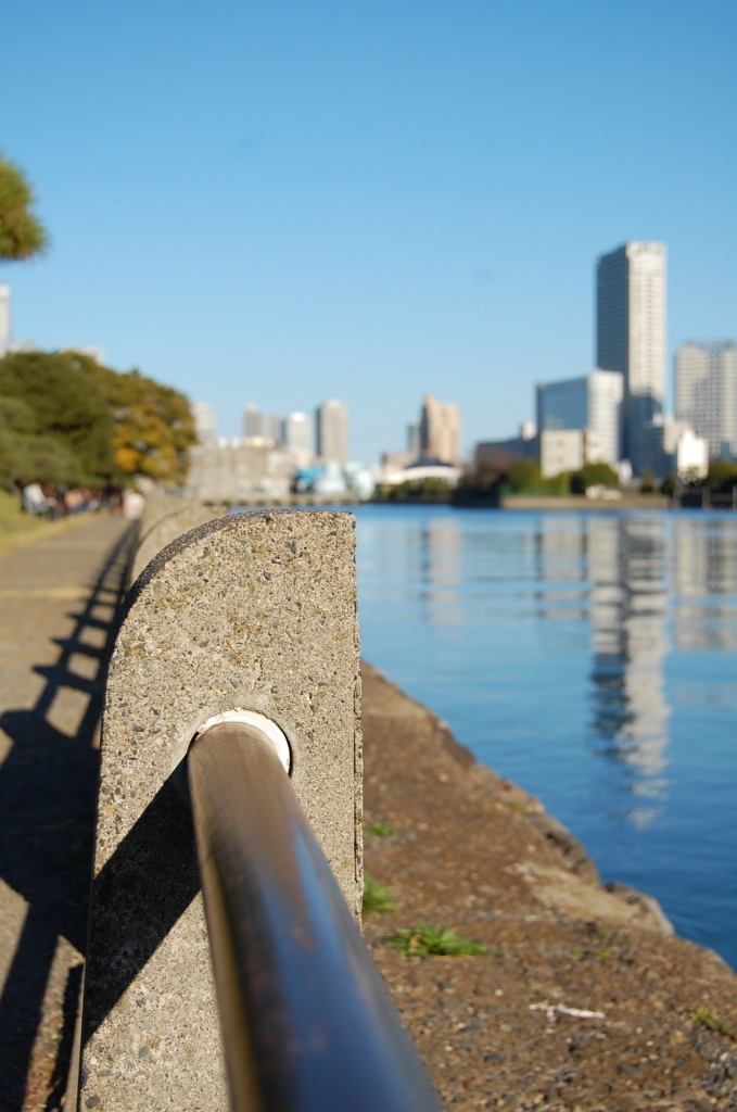 Tokyo skyline di fantamas