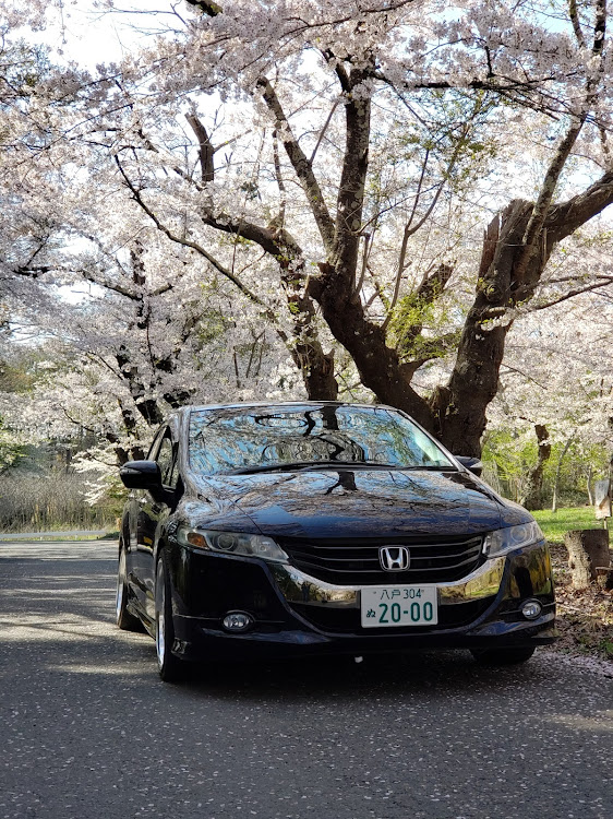 オデッセイの改めて愛車紹介・春はまだですか？・女性オーナー・楽しみがいっぱいに関するカスタム事例の投稿画像1枚目