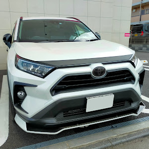 RAV4 MXAA52