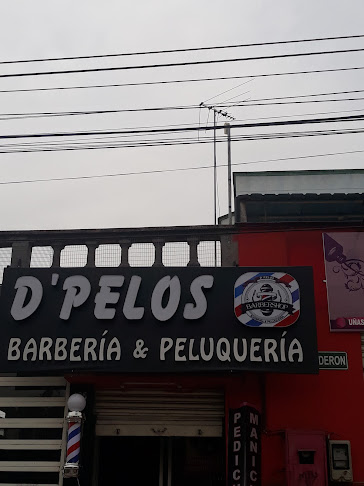 D'pelos - Peluquería