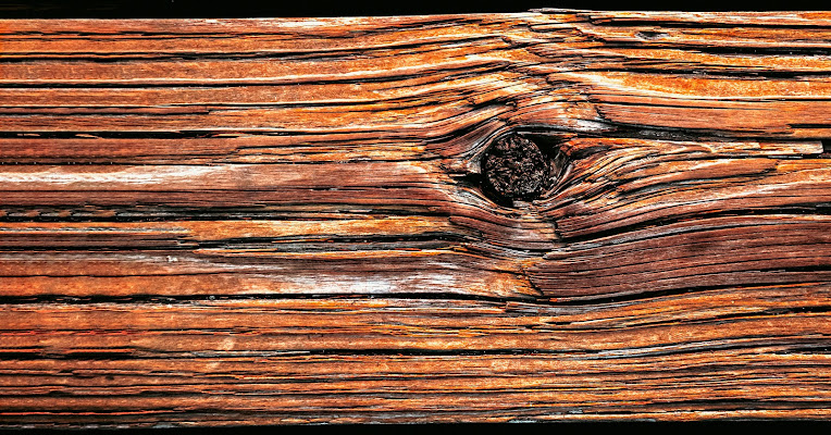 Wood di #giannigalliphoto