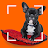 Dog breeds - Smart Identifier icon