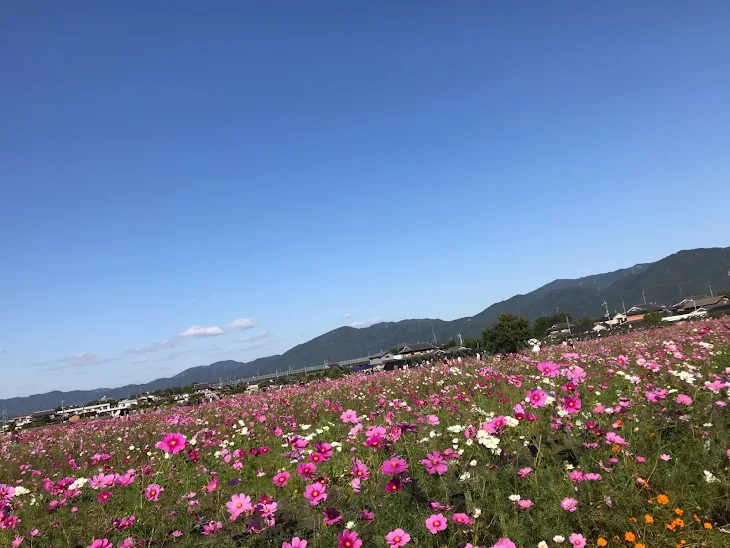 「これからもよろしくおねがいします」のメインビジュアル