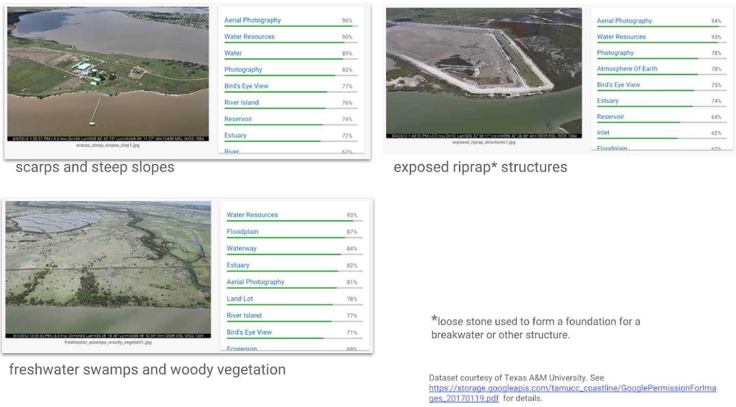 Cloud Vision’s labels are too general for coastline classification.