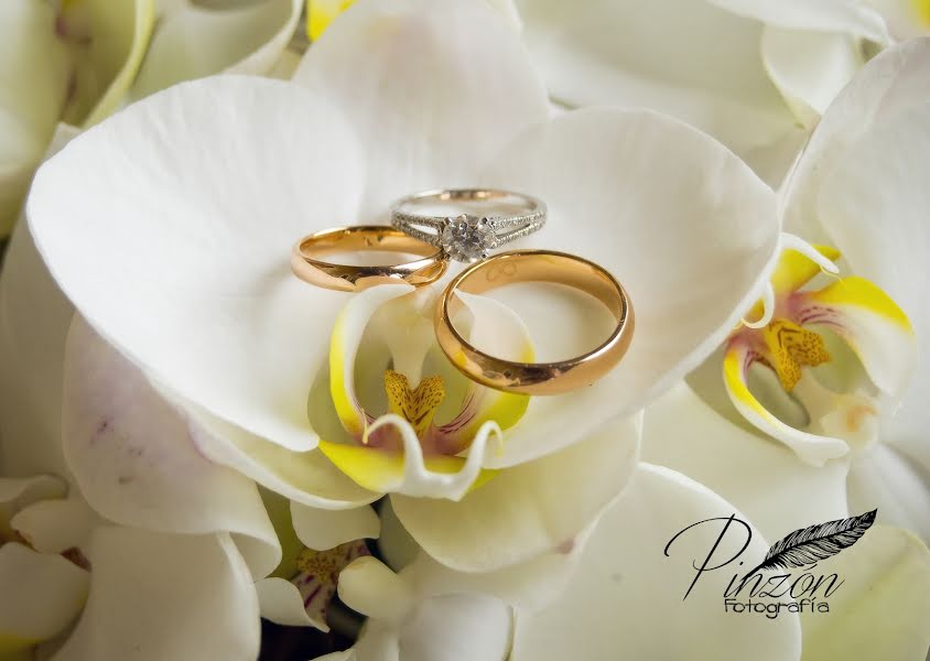 Wedding photographer Alexandro Pérez Pinzón (pinzon). Photo of 7 December 2015