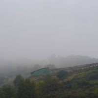 NEBBIA SUL VIGNETO di 