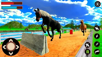 Horse Riding Tales - Wild Pony – Apps no Google Play