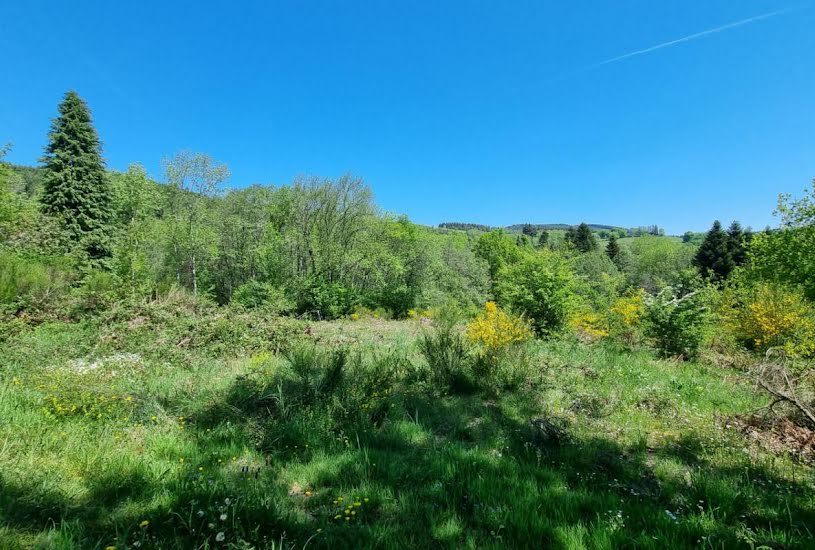  Vente Terrain à bâtir - à Saint-Rémy-sur-Durolle (63550) 