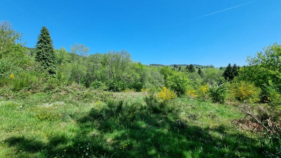 Vente terrain  5990 m² à Saint-Rémy-sur-Durolle (63550), 44 500 €