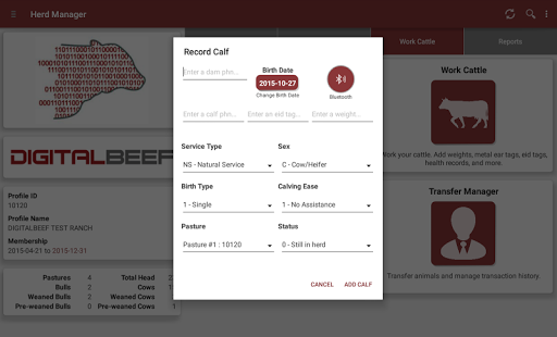 免費下載工具APP|DigitalBeef Herd Manager app開箱文|APP開箱王