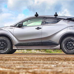 C-HR ZYX10