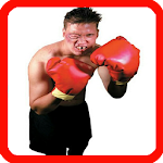 Cover Image of Download Learn Boxing 1.0.0 APK