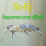 Chingri - চিংড়ি  - বিজ্ঞান সম্মত  চাষের খুঁটিনাটি Apk